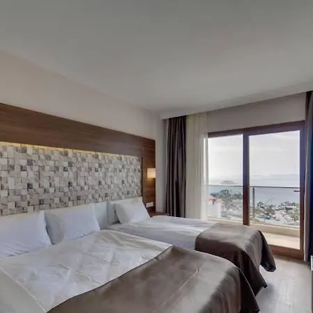 Comfort Ada Class 库萨达斯